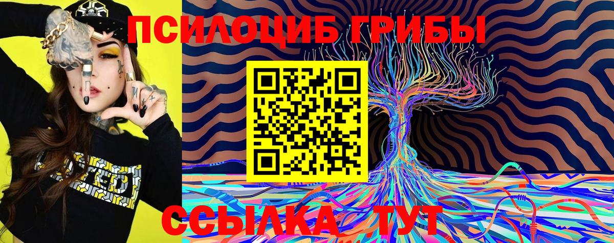 Псилоцибиновые грибы Magic Shrooms  Вход с VPN  Махачкала 