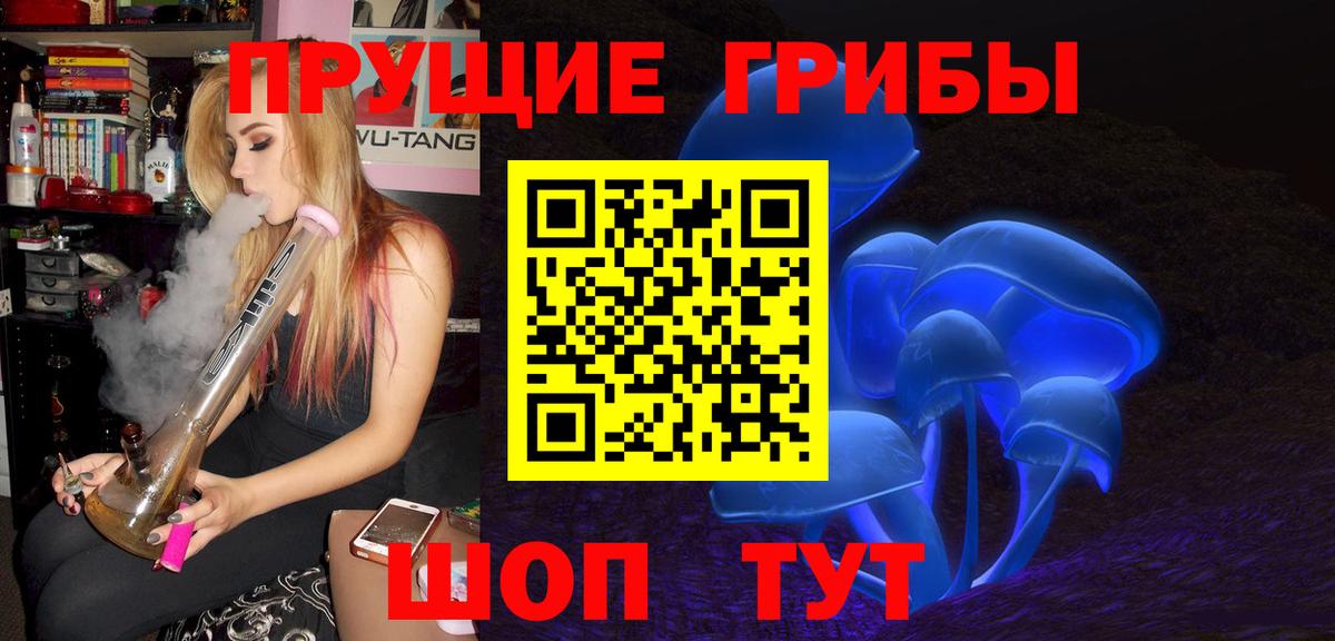 Галлюциногенные грибы Psilocybine cubensis Махачкала